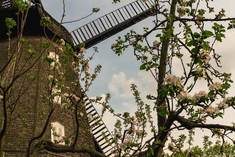 The Britzer Muhle is one of the eight remaining windmills in Berlin, and it is the only surviving windmill that used to exist in Neukölln. Also, it’s the only remaining fully functional windmill in Berlin, and these are some of the many reasons why you need to visit this place.
