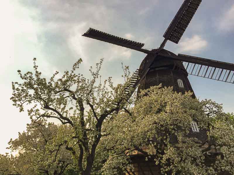 The Britzer Muhle is one of the eight remaining windmills in Berlin, and it is the only surviving windmill that used to exist in Neukölln. Also, it’s the only remaining fully functional windmill in Berlin, and these are some of the many reasons why you need to visit this place.