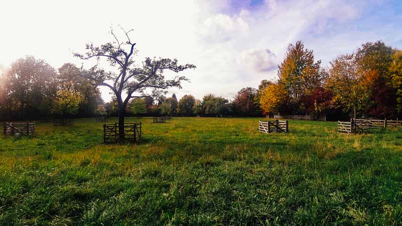 The Britzer Muhle is one of the eight remaining windmills in Berlin, and it is the only surviving windmill that used to exist in Neukölln. Also, it’s the only remaining fully functional windmill in Berlin, and these are some of the many reasons why you need to visit this place.