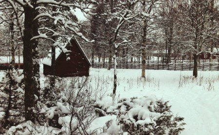 Sami People: What we learned about them in Umeå