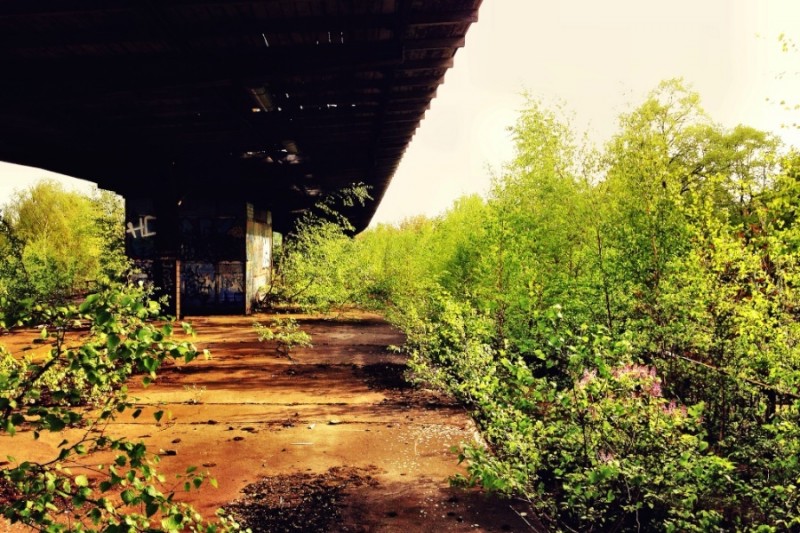 Urban Exploration Berlin - Siemensstadt S-Bahnhof 00