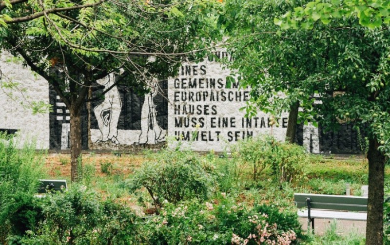 The Parliament of Trees: Where Nature Remembers the Berlin Wall