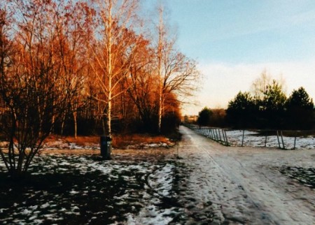 Nordbahnhof Park in the Winter by Felipe Tofani