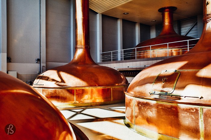 Before my visit to Lech, I had never visit a proper industrial facility that produces beer. I have been to small breweries and I have seen some friends making beer but not like this. Lech is huge and there you will learn all the steps it takes for their great beer to arrive on a bar or your fridge. Each stage of production will be explained to you by guides who are more than beer experts. After the lesson in beer production, you can visit the Lech Pub and enjoy some of the many brands they produce there. Personally, I would say that you have to choose between Lech Pils or Lech premium. Or you can do like me and try both of them.