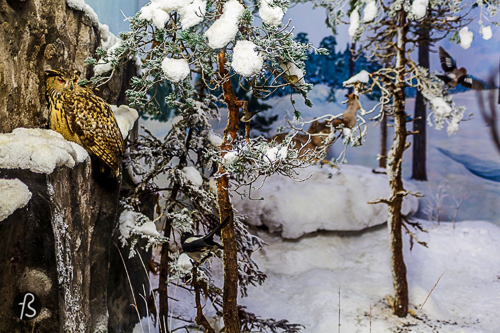 Turku card is a life saver, really! You have no idea. Besides giving you free entrance in a bunch of museums, exhibitions and events, with the card you don't need to worry about public transportation since this card grants you free buses inside Turku! Turku maybe small for us, Brazilians that comes from cities with 23 million people, but for European and Finnish standards, it is quite big! And for you to be able to check from your list all the things to do in Turku, you'll need to take buses. And if you're not 100% sure about the Food Walk Card, the Turku card gives you discount in many many places and restaurant. Some places are the same as the other card, like Cafe Art. I'll give you some of the stuff we did but you can check here a bigger and more complete list of all the advantages of having a Turku Card. things to do in Turku