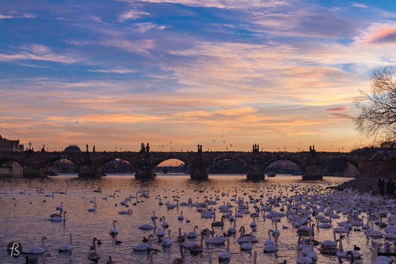 On my first visit to Prague, I was actively looking for unusual places to take pictures. Because of that, I researched a lot on Instagram profiles and other places, and I think I found the perfect spot for a Prague Sunset. This article is about that.