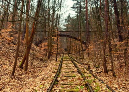 The year is 2019 and there is a kid missing in Winden. He is the person dealing marijuana to some of the kids in school, and nobody seems to know where he might be. One o the kids decided to put together a group and go looking for the stash of drugs from the missing kids. They follow some train tracks that lead deeper into the forest, while they go looking for a cave.