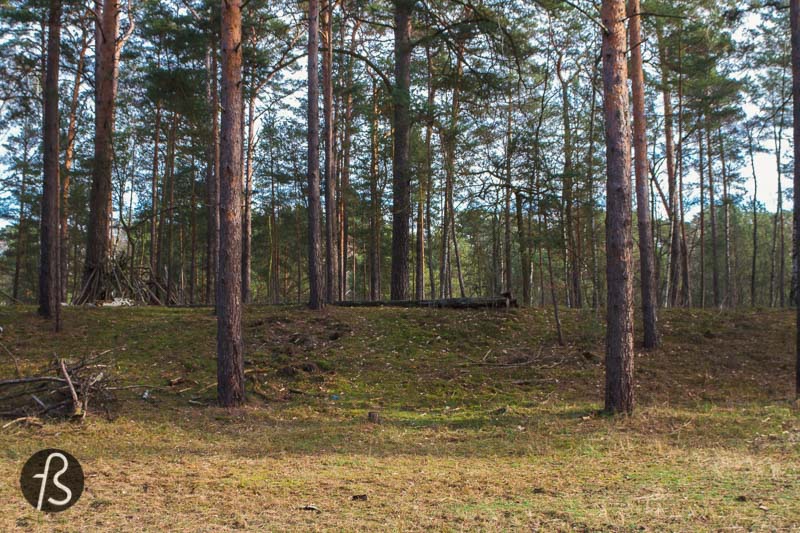 A visit to the Checkpoint Bravo in Dreilinden is fantastic for those interested in history and urban exploration. But we believe it’s better to enter the forest and follow the Friedhofsbahn trail as well. This way, you can see more history and other exciting photo spots along the way.