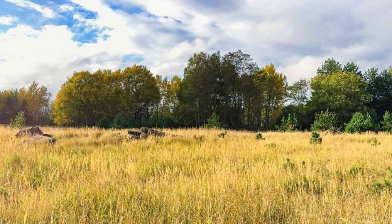 Vogelsang used to be more than just a Soviet military base. This place used to be a city filled with secrets and soldiers, but today it lays empty in Brandenburg while it rots away in the middle of a forest.