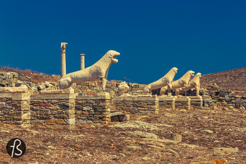 Across from the dry lake, you can find the Terrace of the Lions, where, initially, 12 stone lions were celebrating Apollo. Built around 600 BC, the lions face the Sacred Lake of Delos, and they were placed in a position to guard the lake, somehow.