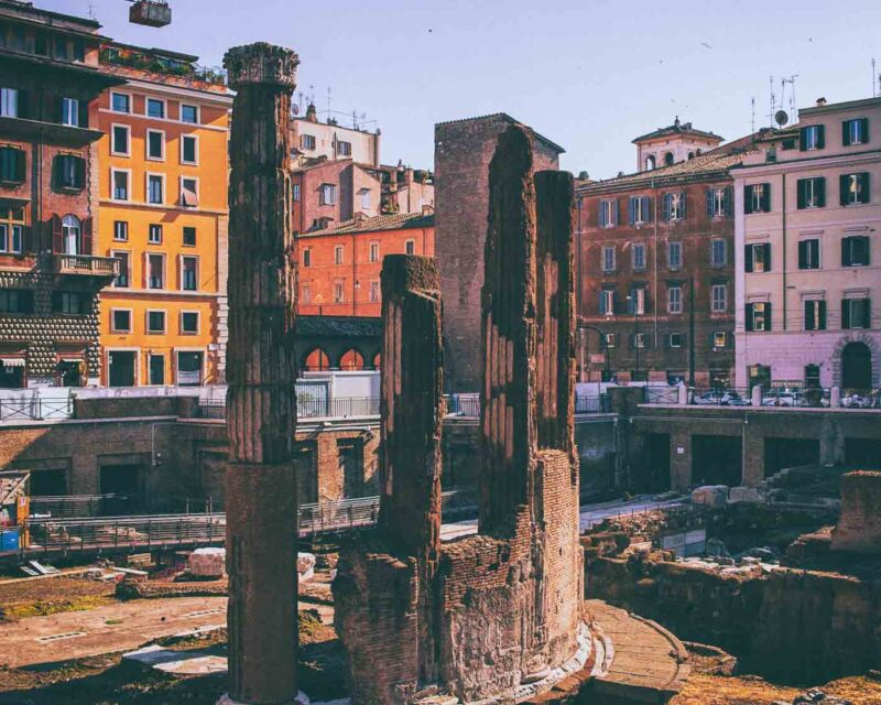 The Torre Argentina Cat Sanctuary in Rome is a unique shelter dedicated solely to providing care and protection to stray cats. Located in the historical center of Rome, the sanctuary has become an important landmark for both animal lovers and tourists.