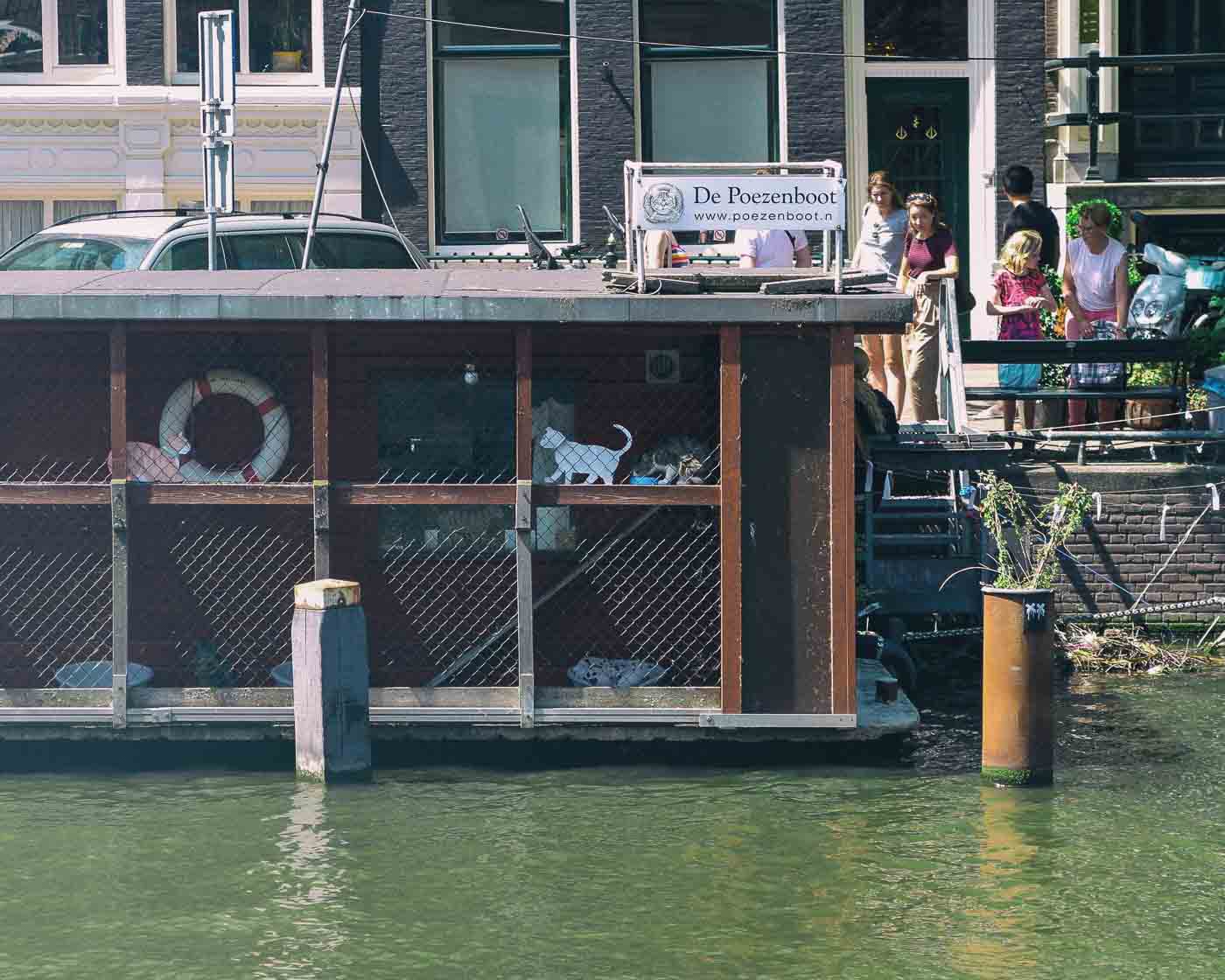 De Poezenboot, also known as "The Catboat," is a floating animal sanctuary on a canal in Amsterdam. Established by Henriette van Weelde in 1966, the Cat Boat provides shelter for stray, sick, and abandoned cats and has since grown into an official charity.