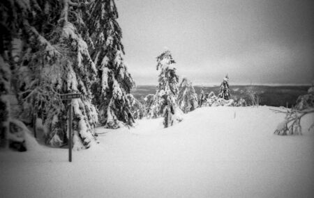 I've had a deep appreciation for Finland for many years. This century-old country is full of surprises and mysteries. While it might not be the first place that comes to mind for a holiday, look at the pictures of Koli National Park, and you'll change your mind.