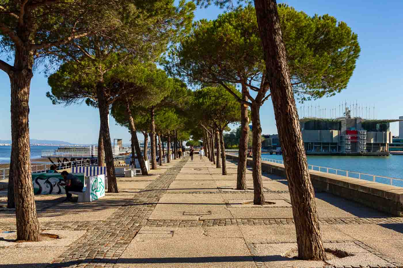 Are you seeking a peaceful moment after walking around in this bustling district? Take a stroll through Parque do Tejo, a waterfront park beloved by locals. Here, you can escape the tourist crowds and watch residents jog, cycle, or walk their dogs along the boardwalk. 