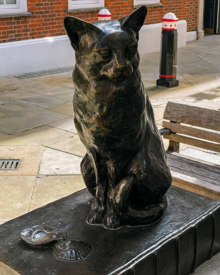 Animal lovers and literary enthusiasts, listen up! Have you ever heard of Hodge the Cat? If you have, be aware that he wasn't just any cat. This pampered kitty was the beloved pet of Samuel Johnson, the famous writer who created the first English dictionary.