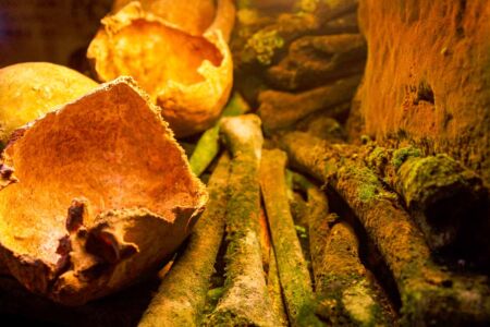 Under the romantic streets of Paris lies a world of darkness filled with the skeletal remains of millions of people. The Paris Catacombs hold a strange appeal, drawing those fascinated by the macabre and off-the-beaten-path history. 