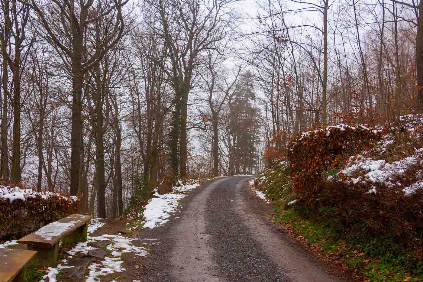 TOP THINGS TO DO IN HEIDELBERG visual data 2