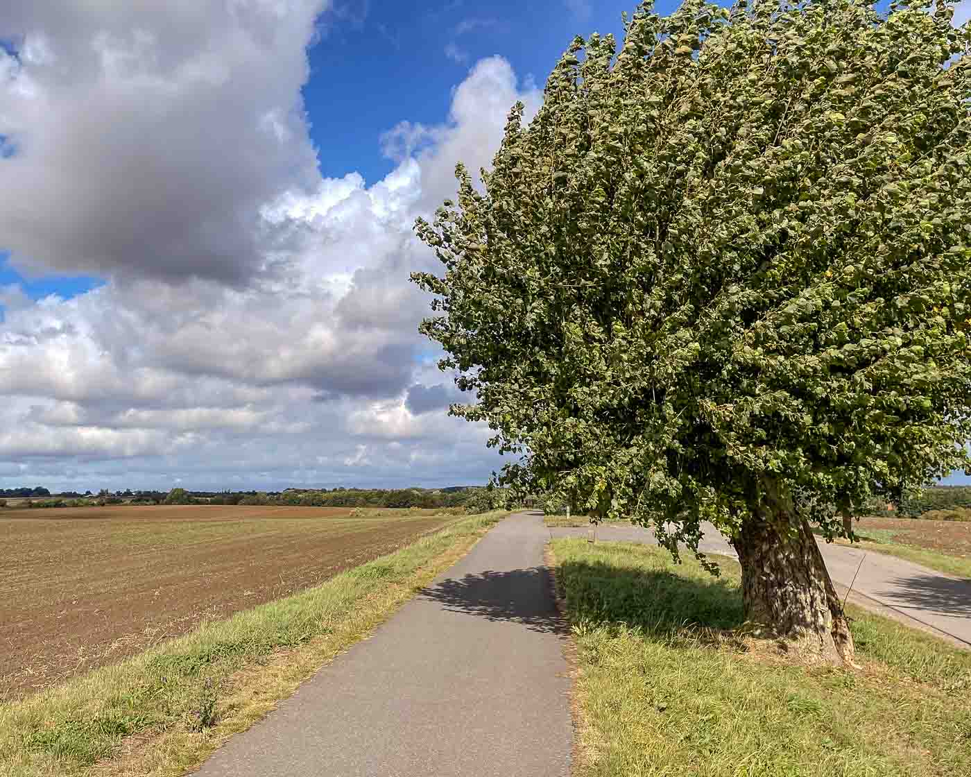 I cycled 60km that day; it was the first time I felt something. Around the halfway mark, my left knee gave me some discomfort. I switched to a lower gear and continued cycling nonstop until Rostock. This wasn't the best day. It started with some rain, there was a lot of headwind between Schwan and Rostock, and there were multiple sections where I had to cycle on the road with cars and trucks. But… It worked out.