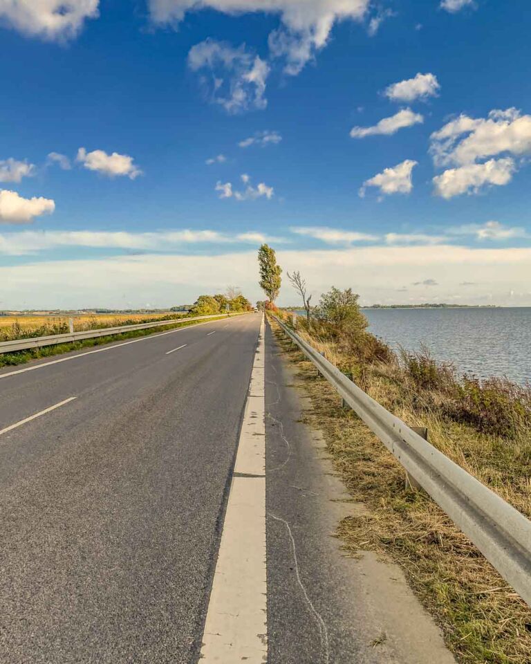 Cycling in Denmark was different from cycling in Germany. Some fields shone in yellow, houses painted red in the distance, and scenery that changed from something I had seen before into something new made me so happy. Also, the bike lanes were better signaled, fewer cars on the road, and it felt flatter at first. 