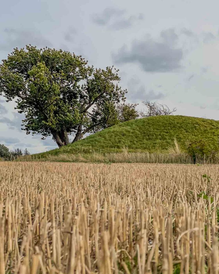 The first one I visited was Kong Asgers Høj, and it was surreal for me to be the only person there visiting such an ancient piece of history. I'm glad I had a flashlight so I could see inside the burial chamber after crawling inside it. Another interesting place I visited was the Klekkende Høj. This megalithic tomb has two chambers, and it looks like a face from far away. The last one I visited in the morning was the Sparresminde gravhøj. Located in the middle of a field, this communal grave dates from 3.200 BC, and it's massive. 