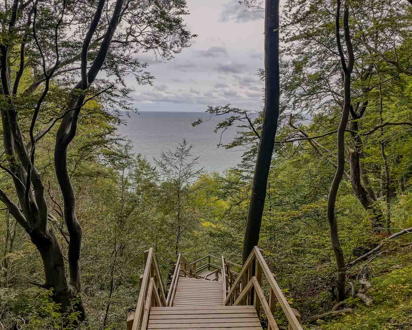 Møns Klint is a beautiful stretch of chalk and limestone cliffs along the eastern coast of Møn. This was another reason I stayed on the island for one day more. It was one of my best decisions on this trip since cycling through woodlands, pastures, and steep hills was a fantastic way to get to the GeoCenter Møns Klint.

