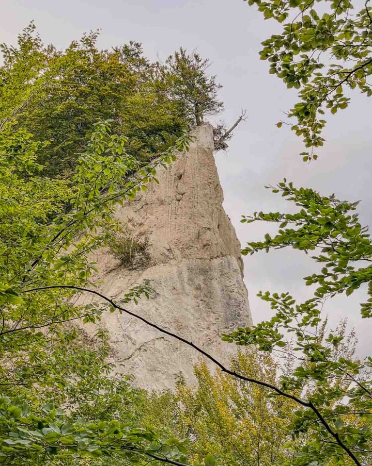 Møns Klint is a beautiful stretch of chalk and limestone cliffs along the eastern coast of Møn. This was another reason I stayed on the island for one day more. It was one of my best decisions on this trip since cycling through woodlands, pastures, and steep hills was a fantastic way to get to the GeoCenter Møns Klint.