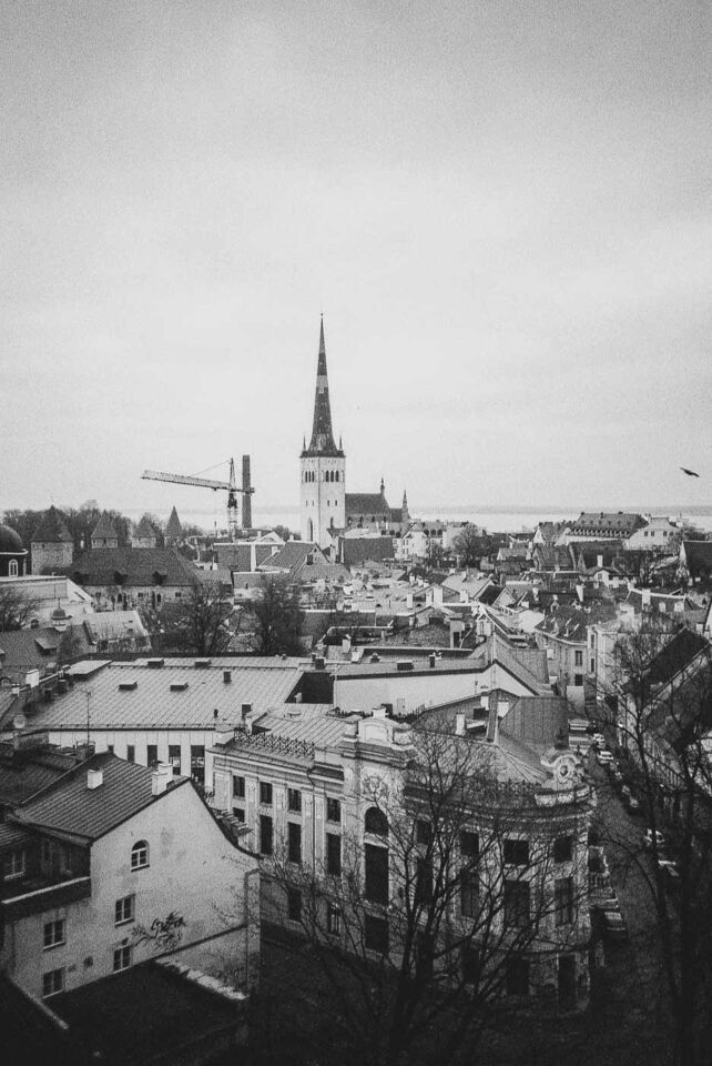 As I kept walking, I remembered a panoramic spot above Tallinn that I had visited in 2017. Patkuli Viewing Platform was my goal; from there, I had a sensational panoramic view of the city. The red rooftops, the harbor in the distance, and the spires of the churches created a stunning cityscape. In black and white, the scene felt timeless and classic.