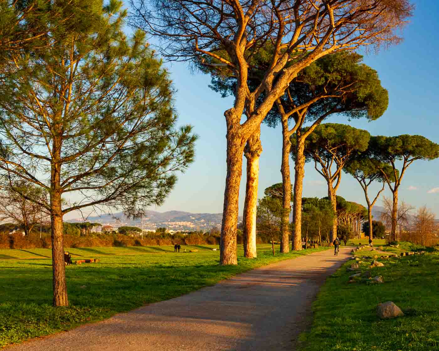 Imagine a place where you can escape the hustle and bustle of Rome and step back in time. A place where ancient ruins stand tall against a backdrop of rolling hills and lush greenery. This is Parco degli Acquedotti, a hidden gem in the heart of Rome.