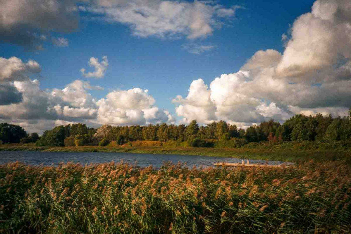 In September 2024, I took a bike ride from Berlin to Copenhagen and decided to document my trip using a film camera instead of a digital one. If you have been reading this blog for a while, you already know I'm a big fan of film photography. If you don't, here is an article for you.