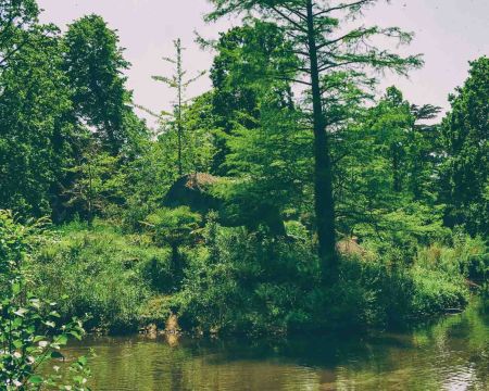 Crystal Palace Park isn't just a green oasis in South London; it's a portal to the past. Among its many attractions, the Crystal Palace Dinosaurs inspire wonderment as unique evidence of the Victorian era's remarkable scientific curiosity and artistic ambition.