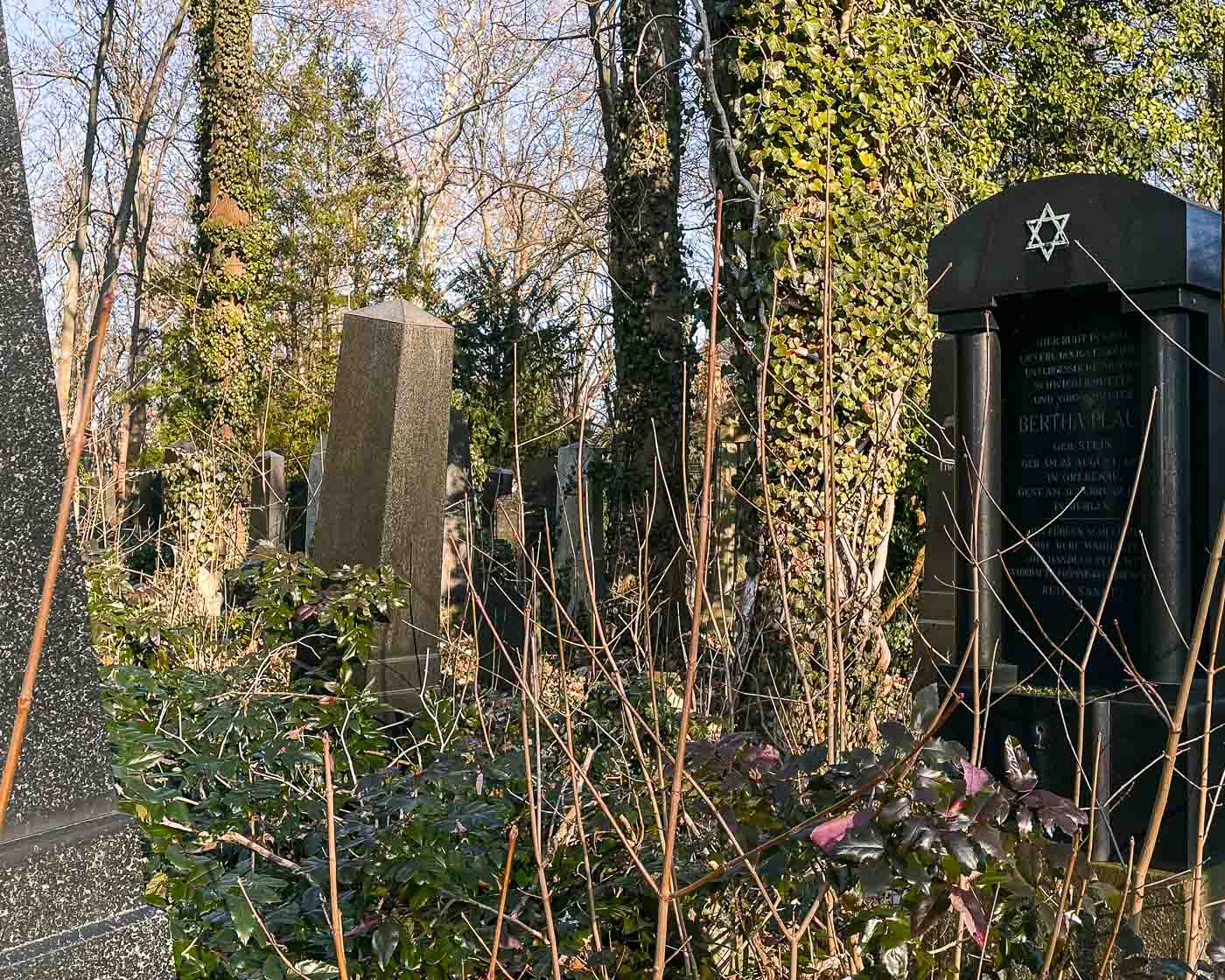 In the sprawling district of Weissensee, a quiet giant rests, where time seems to slow, and the whispers of history echo through the trees. This is the Jewish Cemetery in Berlin-Weissensee, a 42-acre expanse that powerfully reminds the Jewish community of its journey through triumph and tragedy.