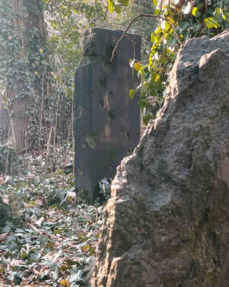 In the sprawling district of Weissensee, a quiet giant rests, where time seems to slow, and the whispers of history echo through the trees. This is the Jewish Cemetery in Berlin-Weissensee, a 42-acre expanse that powerfully reminds the Jewish community of its journey through triumph and tragedy.  