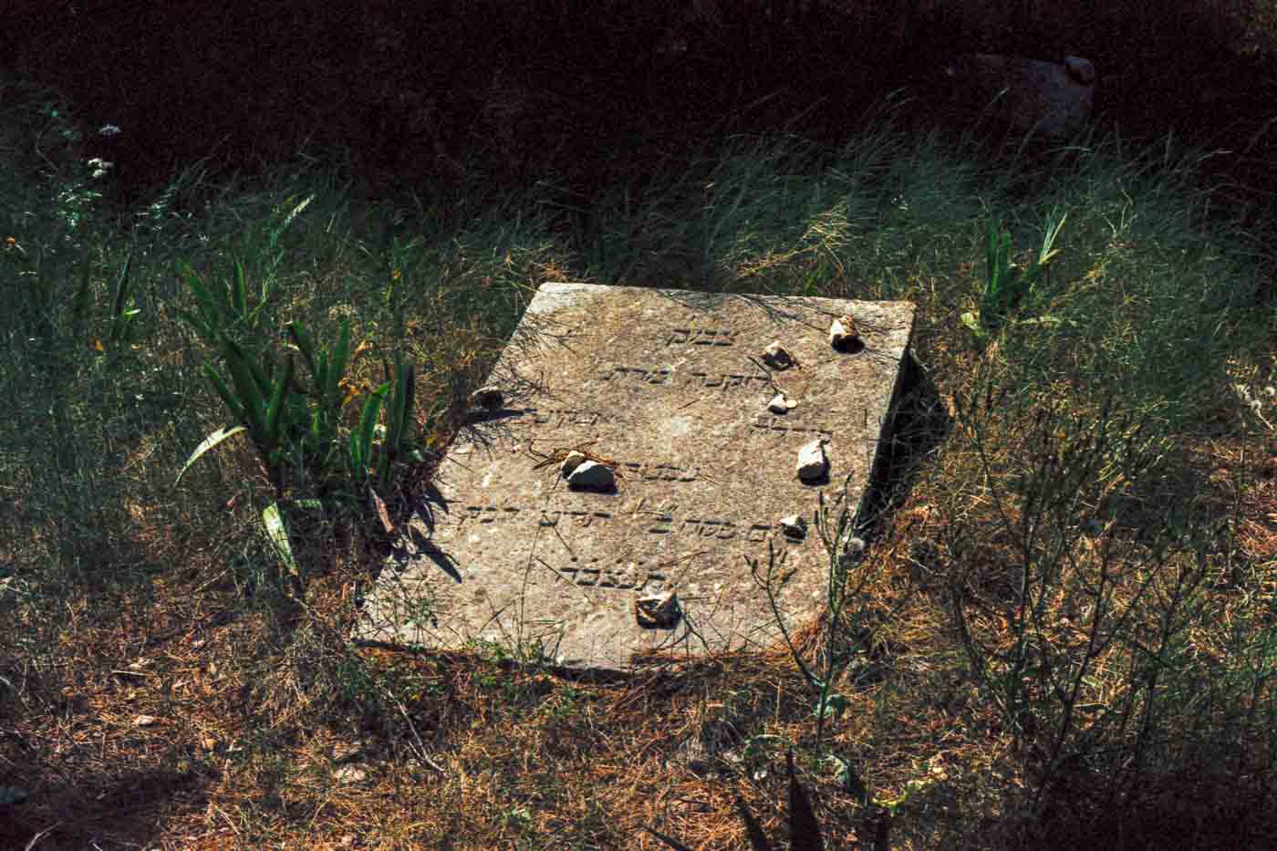 The Split Jewish Cemetery is more than just a collection of graves; it's a chronicle of a resilient community. Photographing it with LomoChrome '92, a film that celebrates the charm of imperfect and bygone eras, felt like an appropriate if the unconventional, way to engage with its enduring spirit. It was a reminder that beauty and memory can be found not just in perfect clarity but also in the evocative haze of nostalgia.