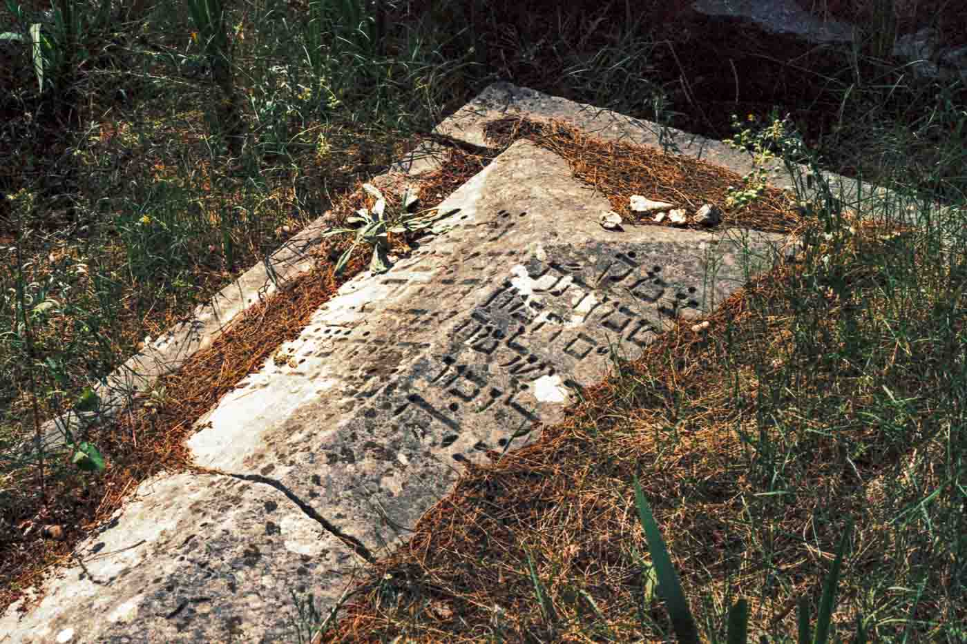 The Split Jewish Cemetery is more than just a collection of graves; it's a chronicle of a resilient community. Photographing it with LomoChrome '92, a film that celebrates the charm of imperfect and bygone eras, felt like an appropriate if the unconventional, way to engage with its enduring spirit. It was a reminder that beauty and memory can be found not just in perfect clarity but also in the evocative haze of nostalgia.