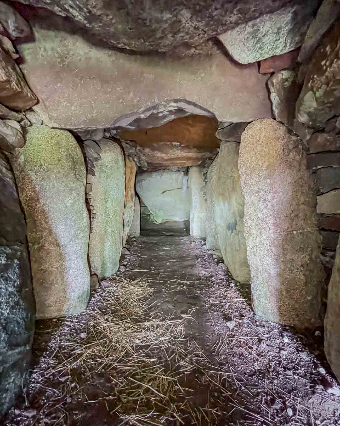 Imagine stepping back over 5,000 years, tracing the footsteps of our ancient ancestors, and exploring the very chambers where they laid their revered dead to rest. On the idyllic Danish island of Møn, you don't just imagine it—you can experience it. Møn is renowned for its remarkably preserved Denmark burial chambers, offering an unparalleled glimpse into the fascinating history of the Funnel Beaker culture.