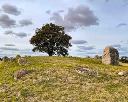 Imagine stepping back over 5,000 years, tracing the footsteps of our ancient ancestors, and exploring the very chambers where they laid their revered dead to rest. On the idyllic Danish island of Møn, you don't just imagine it—you can experience it. Møn is renowned for its remarkably preserved Denmark burial chambers, offering an unparalleled glimpse into the fascinating history of the Funnel Beaker culture.