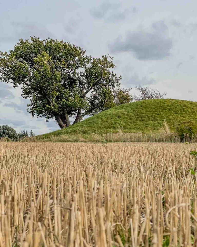 Imagine stepping back over 5,000 years, tracing the footsteps of our ancient ancestors, and exploring the very chambers where they laid their revered dead to rest. On the idyllic Danish island of Møn, you don't just imagine it—you can experience it. Møn is renowned for its remarkably preserved Denmark burial chambers, offering an unparalleled glimpse into the fascinating history of the Funnel Beaker culture.