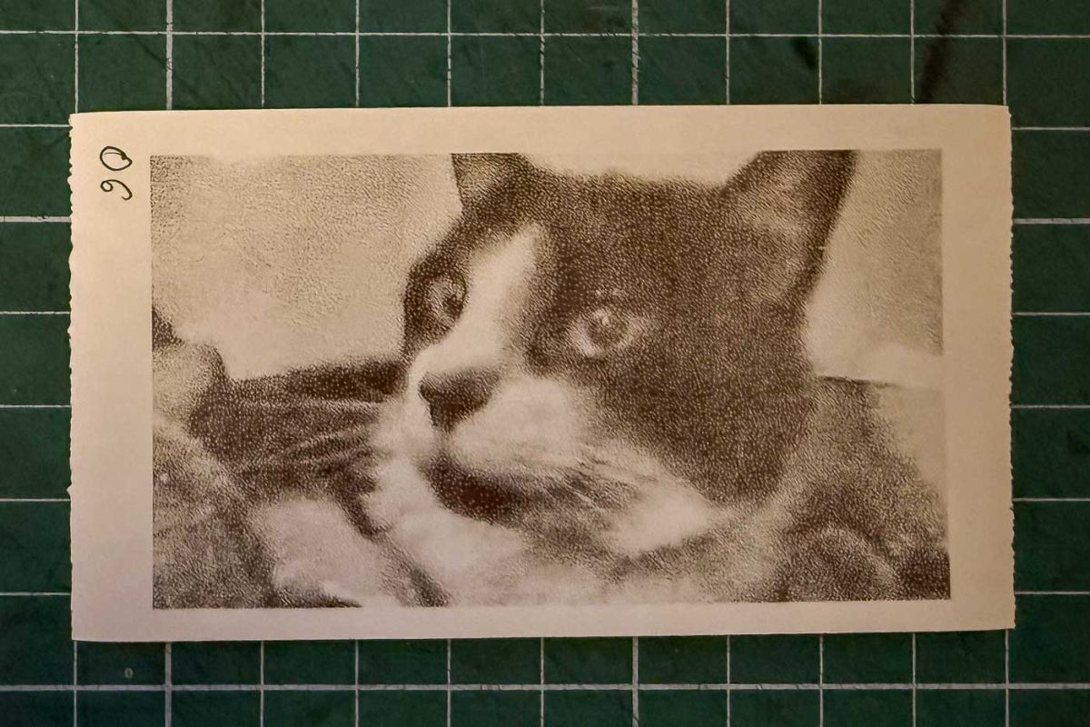 My love affair with the thermal paper camera began with a simple YouTube video. The idea of a camera that prints lo-fi, black-and-white photos on the spot—for the ridiculously low price of thermal paper—was too appealing to ignore.