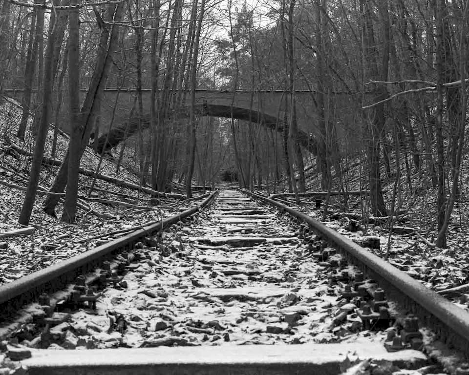 In the world of analog photography, there aren’t that many cameras that command as much presence, in both the physical and creative ways, as the Mamiya RZ67. If you are a photographer who prioritizes image quality over everything else, this camera is the legend you have been looking for.