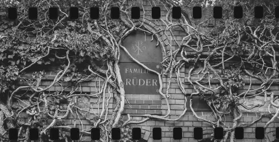 In the world of analog photography, there aren’t that many cameras that command as much presence, in both the physical and creative ways, as the Mamiya RZ67. If you are a photographer who prioritizes image quality over everything else, this camera is the legend you have been looking for.