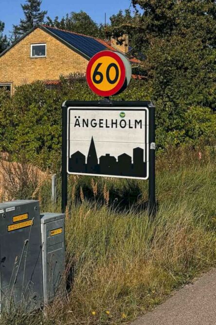Whenever I picture Sweden in my head, I think about vibrant cities, beautiful nature, and historical sites. However, hidden in a forest in the southern part of the country, you will find a spot that defies the logical and the ordinary. This is where you will find the Ängelholm UFO Memorial.