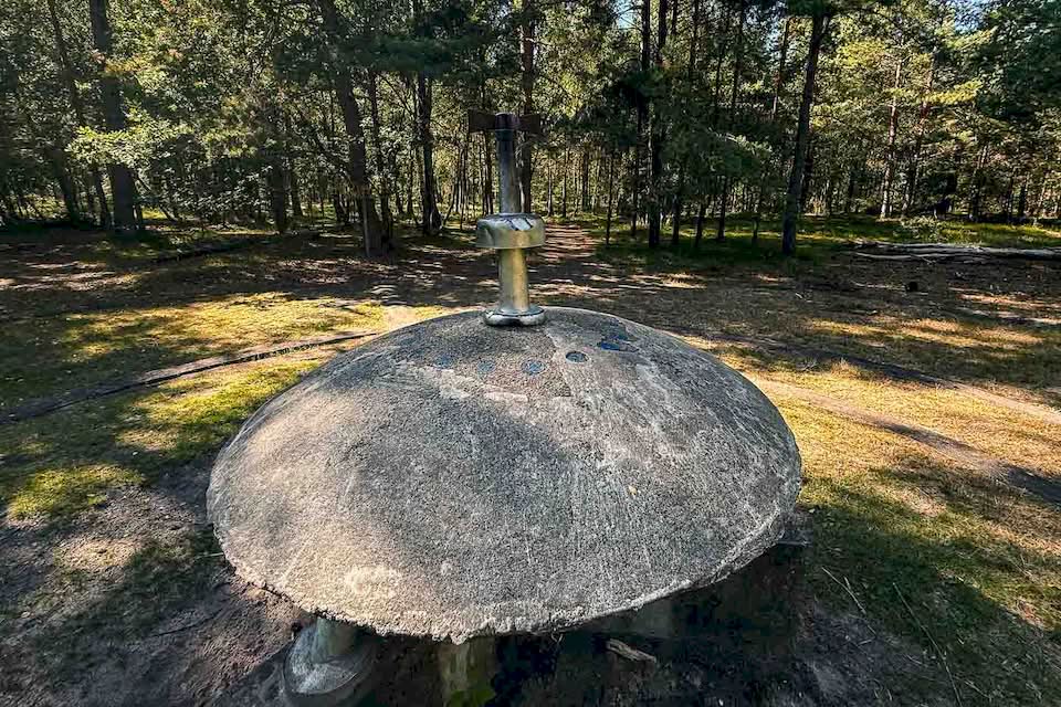 You may be skeptical like me or believe in aliens, but there is one thing we can all agree on: this strange landmark gives us a look into the mind of one of Sweden's strangest businessmen. It’s a fascinating story that connects local history with folklore.