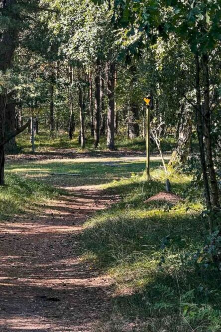 I think I rode for 90 km or so when my GPS tracker told me that the UFO memorial was close by. I stepped into the forest and tried to spot it. After a few wrong paths and turns, I saw a clearing in the woods, and there it was: a concrete model of a flying saucer in the middle of nowhere. I was in the right place.