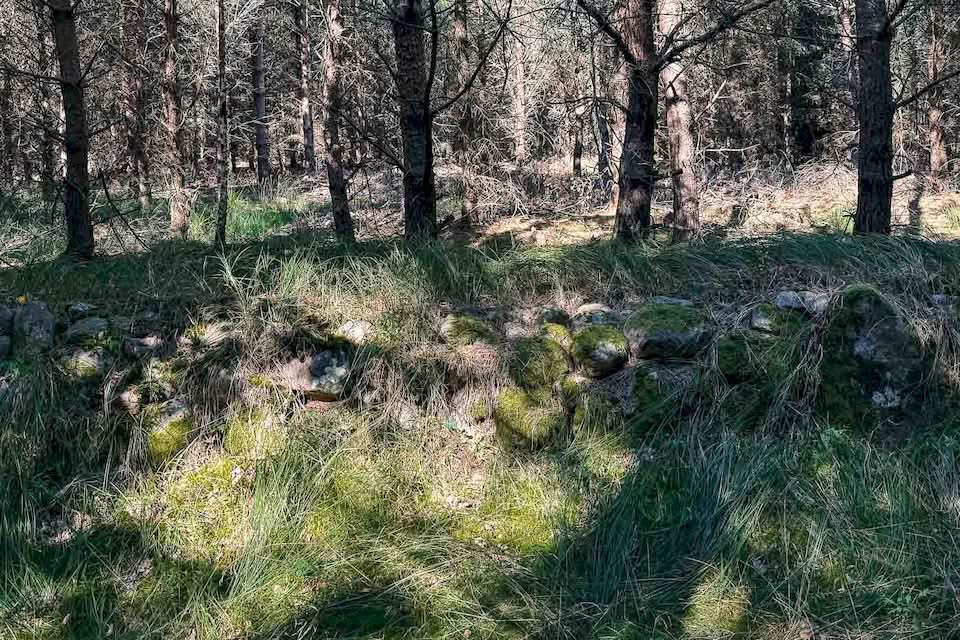 I think I rode for 90 km or so when my GPS tracker told me that the UFO memorial was close by. I stepped into the forest and tried to spot it. After a few wrong paths and turns, I saw a clearing in the woods, and there it was: a concrete model of a flying saucer in the middle of nowhere. I was in the right place.