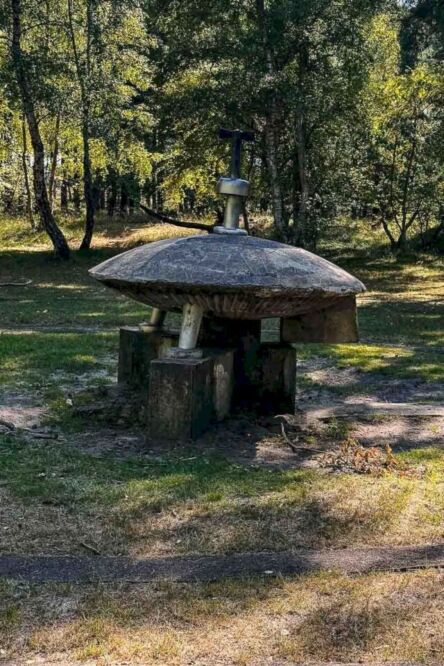 You may be skeptical like me or believe in aliens, but there is one thing we can all agree on: this strange landmark gives us a look into the mind of one of Sweden's strangest businessmen. It’s a fascinating story that connects local history with folklore.