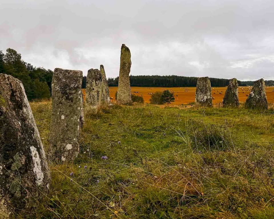 The stone ship in the burial ground is Blomsholm’s most famous ancient monument, and I had to stop my bike there for some pictures. Measuring 41 meters long and 9 meters wide, it is the third largest stone ship in Sweden