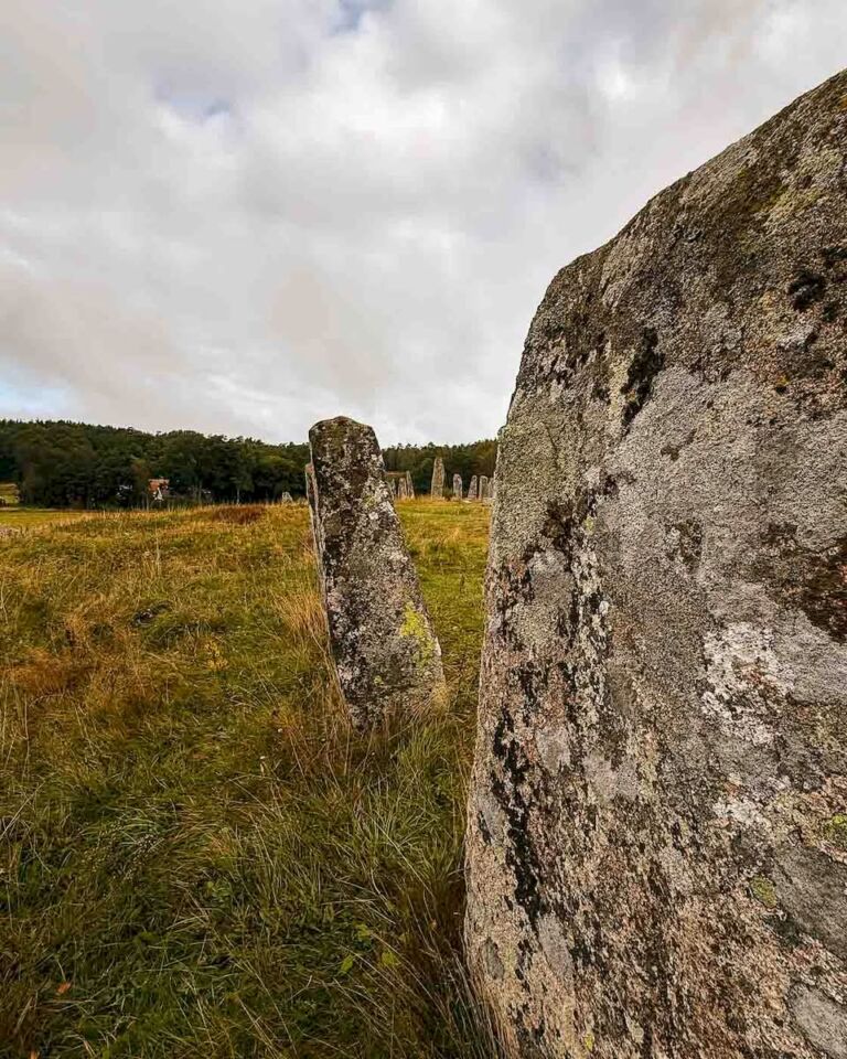The stone ship in the burial ground is Blomsholm’s most famous ancient monument, and I had to stop my bike there for some pictures. Measuring 41 meters long and 9 meters wide, it is the third largest stone ship in Sweden