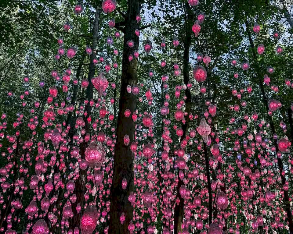 From there, we walked towards the Ekeberg Park to see the statues and artwork there. But, before we arrived, we stumbled upon the Dildonissen that reminded me a lot of the Rotterdam Santa Claus that I visited before. It’s difficult to just write a few sentences about what I saw at the Ekeberg Park. I will need a full article about it in the future. The highlights for me were the Nordic Pixel Forest, the Dilemma statue, and the Venus de Milo aux tiroirs by Salvador Dalí.