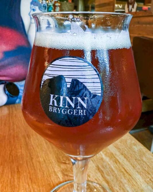 As a way to celebrate this massive bike ride, we went to Helt Vilt and decided to have something special. This is how we ended up with a dish called Arctic Journey that is made of grilled steaks of moose, reindeer, and minke whale. I thought that everything sounded so surreal that I needed to try it out. Of course, it was exceptional, and I will always remember this meal.