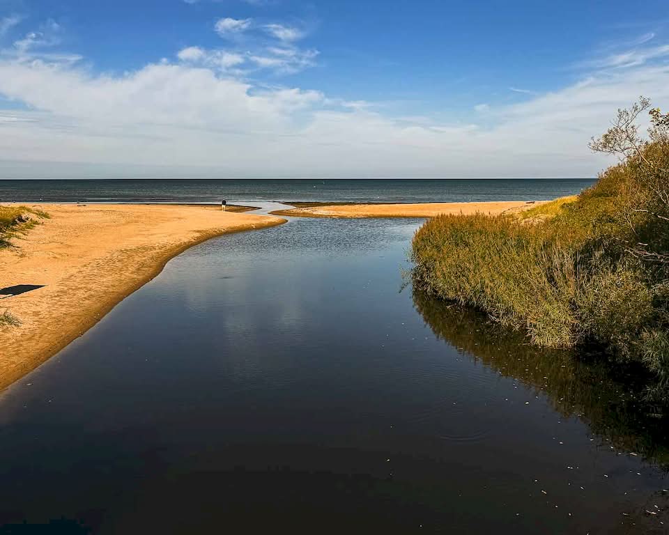 This was my first day fully cycling in Sweden, and I loved every minute of it. Most of the bike ride was going through seaside villages, nature reserves, and beaches. All of those in the famous Kattegattleden, which is Sweden’s first national cycle path. This made the entire route such an experience, and I would come back to Sweden again just to ride this cycle path.